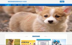 010springboot+Vue宠家宠物服务管理系统