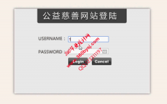 志愿者公益网站