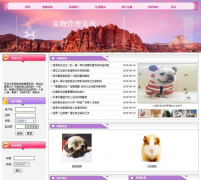 基于JSP的宠物管理设计与实现