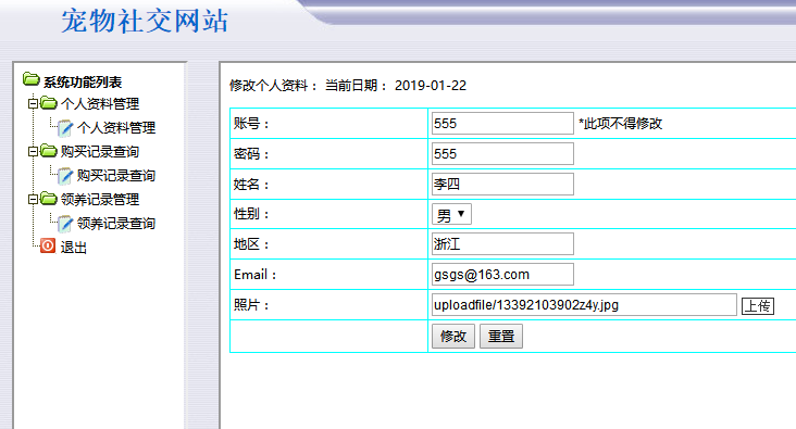 个人后台界面