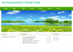 PHP+MySQL企业网络推广平台系统的设计与实现