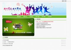java+mysql 基于jsp820志愿者管理系统sql（java,web）