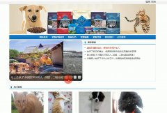 asp.net994-宠物寻回与领养平台#毕业设计